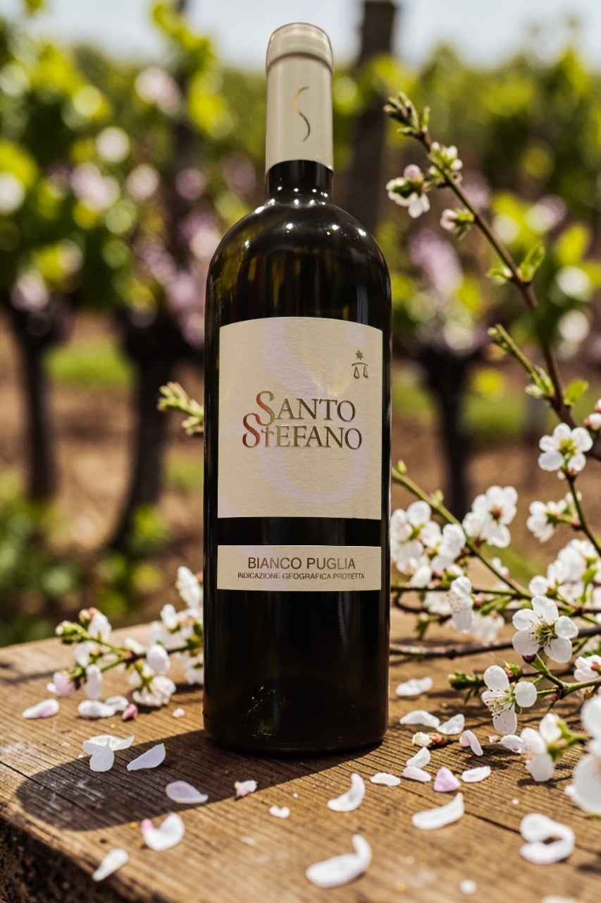 Vino Bianco